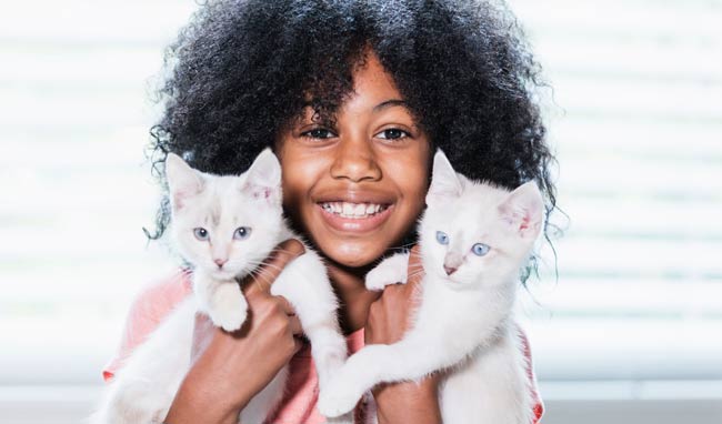about coastal humane society