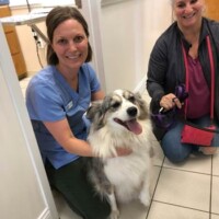Dr. Hayes - Sound Veterinary Hospital